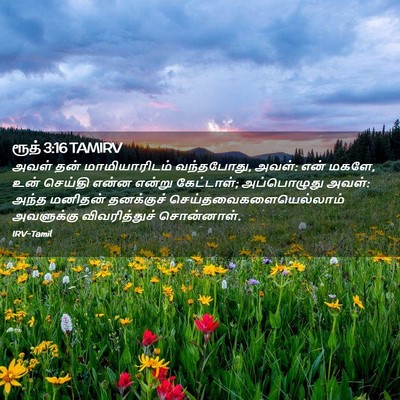 Picture 02 - ரூத் 3:16 TAMIRV - அவள் தன் - Bible Verse Picture