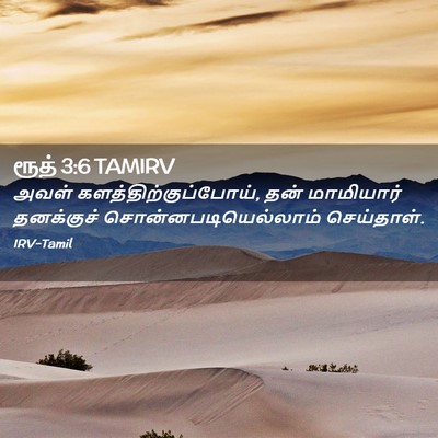 Picture 02 - ரூத் 3:6 TAMIRV - அவள் - Bible Verse Picture