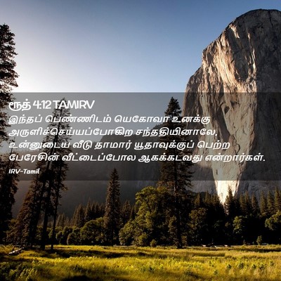 Picture 02 - ரூத் 4:12 TAMIRV - இந்தப் பெண்ணிடம் - Bible Verse Picture