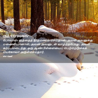 Picture 02 - ரூத் 4:13 TAMIRV - போவாஸ் ரூத்தைத் - Bible Verse Picture