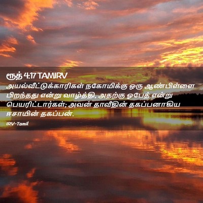 Picture 02 - ரூத் 4:17 TAMIRV -  - Bible Verse Picture