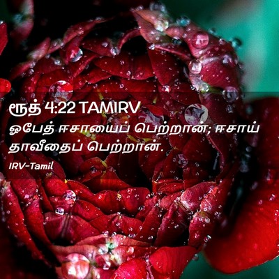Picture 02 - ரூத் 4:22 TAMIRV - ஓபேத் ஈசாயைப் - Bible Verse Picture