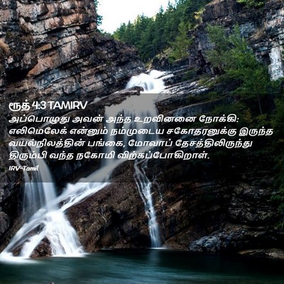 Picture 02 - ரூத் 4:3 TAMIRV - அப்பொழுது அவன் - Bible Verse Picture