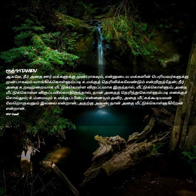 Picture 02 - ரூத் 4:4 TAMIRV - ஆகவே, நீர் அதை ஊர் - Bible Verse Picture