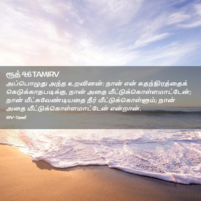 Picture 02 - ரூத் 4:6 TAMIRV - அப்பொழுது அந்த - Bible Verse Picture