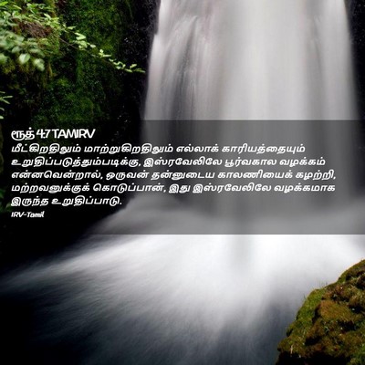 Picture 02 - ரூத் 4:7 TAMIRV - மீட்கிறதிலும் - Bible Verse Picture