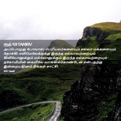 Picture 02 - ரூத் 4:9 TAMIRV - அப்பொழுது போவாஸ் - Bible Verse Picture