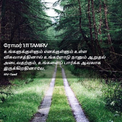 Picture 02 - ரோமர் 1:11 TAMIRV - உங்களுக்குள்ளும் - Bible Verse Picture