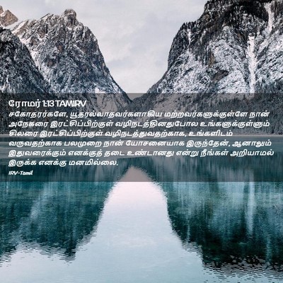 Picture 02 - ரோமர் 1:13 TAMIRV - சகோதரர்களே, - Bible Verse Picture