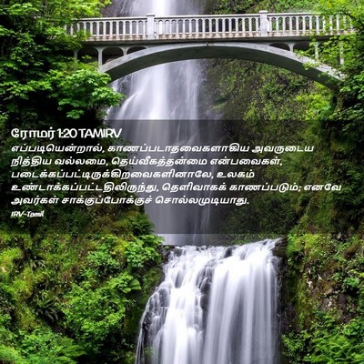 Picture 02 - ரோமர் 1:20 TAMIRV - எப்படியென்றால், - Bible Verse Picture
