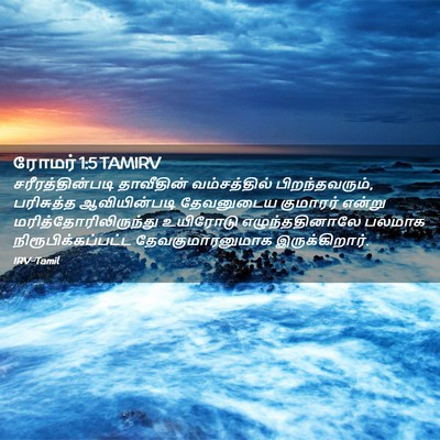 Picture 02 - ரோமர் 1:5 TAMIRV - சரீரத்தின்படி - Bible Verse Picture