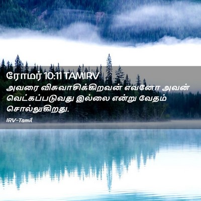 Picture 02 - ரோமர் 10:11 TAMIRV - அவரை - Bible Verse Picture