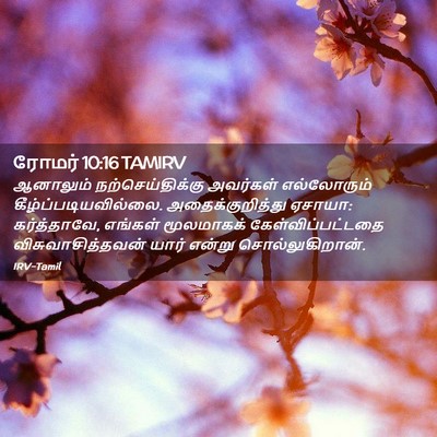 Picture 02 - ரோமர் 10:16 TAMIRV - ஆனாலும் - Bible Verse Picture