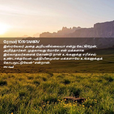 Picture 02 - ரோமர் 10:19 TAMIRV - இஸ்ரவேலர் அதை - Bible Verse Picture
