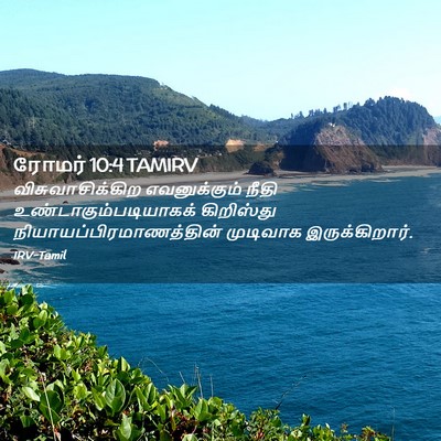 Picture 02 - ரோமர் 10:4 TAMIRV - விசுவாசிக்கிற - Bible Verse Picture