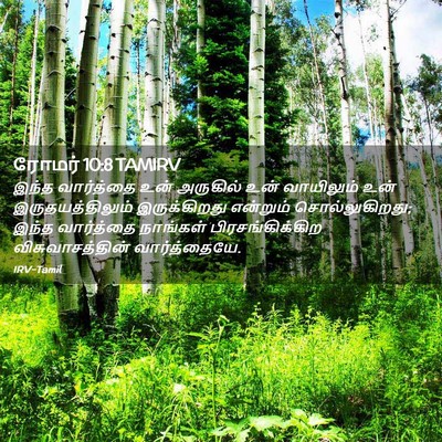 Picture 02 - ரோமர் 10:8 TAMIRV - இந்த வார்த்தை உன் - Bible Verse Picture