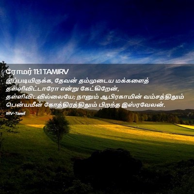 Picture 02 - ரோமர் 11:1 TAMIRV - இப்படியிருக்க, - Bible Verse Picture