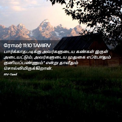 Picture 02 - ரோமர் 11:10 TAMIRV - பார்க்காதபடிக்கு - Bible Verse Picture