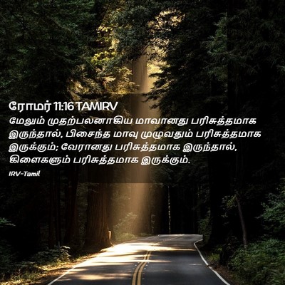 Picture 02 - ரோமர் 11:16 TAMIRV - மேலும் - Bible Verse Picture