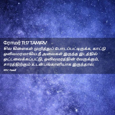 Picture 02 - ரோமர் 11:17 TAMIRV - சில கிளைகள் - Bible Verse Picture