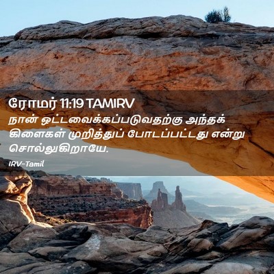 Picture 02 - ரோமர் 11:19 TAMIRV - நான் - Bible Verse Picture