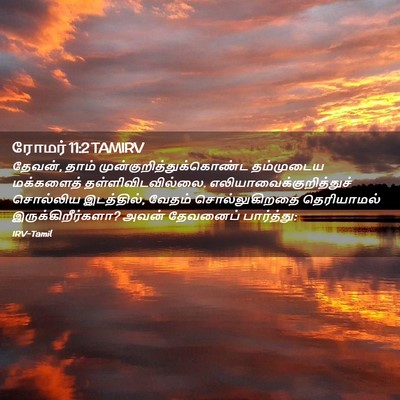 Picture 02 - ரோமர் 11:2 TAMIRV - தேவன், தாம் - Bible Verse Picture