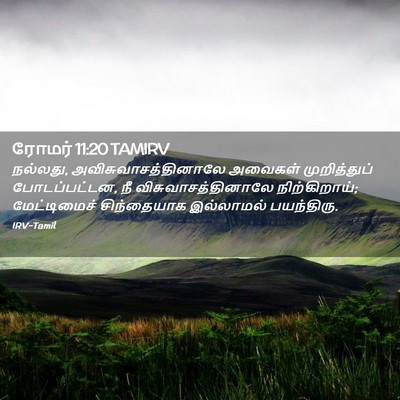 Picture 02 - ரோமர் 11:20 TAMIRV - நல்லது, - Bible Verse Picture