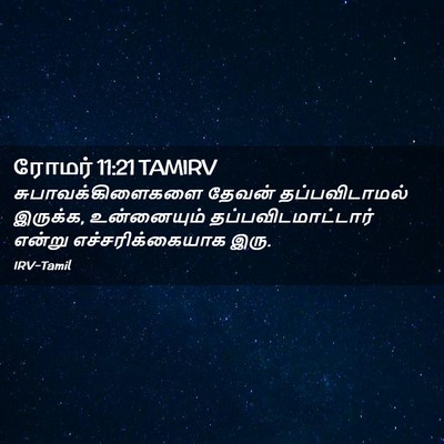 Picture 02 - ரோமர் 11:21 TAMIRV - சுபாவக்கிளைகளை - Bible Verse Picture