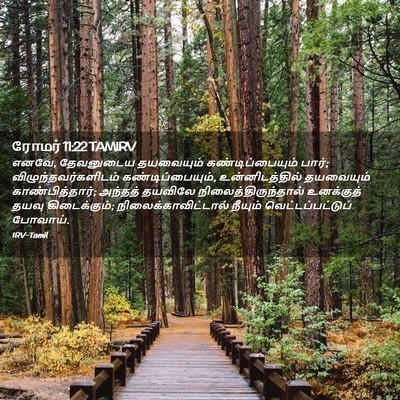 Picture 02 - ரோமர் 11:22 TAMIRV - எனவே, தேவனுடைய - Bible Verse Picture