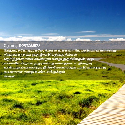 Picture 02 - ரோமர் 11:25 TAMIRV - மேலும், - Bible Verse Picture
