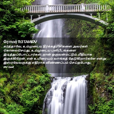 Picture 02 - ரோமர் 11:3 TAMIRV - கர்த்தாவே, - Bible Verse Picture