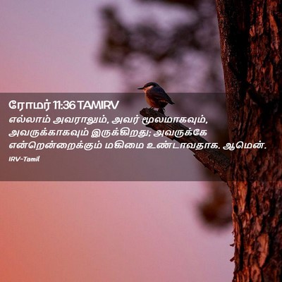 Picture 02 - ரோமர் 11:36 TAMIRV - எல்லாம் அவராலும், - Bible Verse Picture