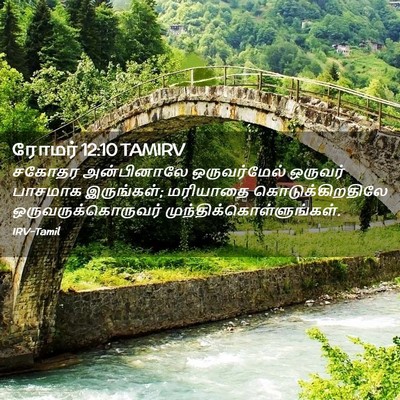 Picture 02 - ரோமர் 12:10 TAMIRV - சகோதர அன்பினாலே - Bible Verse Picture