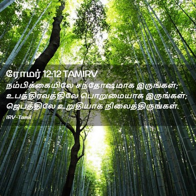 Picture 02 - ரோமர் 12:12 TAMIRV - நம்பிக்கையிலே - Bible Verse Picture