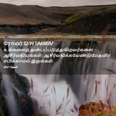Picture 02 - ரோமர் 12:14 TAMIRV - உங்களைத் - Bible Verse Picture