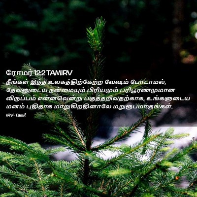 Picture 02 - ரோமர் 12:2 TAMIRV - நீங்கள் இந்த - Bible Verse Picture