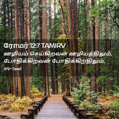 Picture 02 - ரோமர் 12:7 TAMIRV - ஊழியம் செய்கிறவன் - Bible Verse Picture