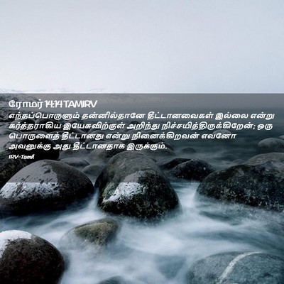 Picture 02 - ரோமர் 14:14 TAMIRV - எந்தப்பொருளும் - Bible Verse Picture