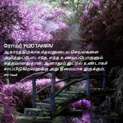 Picture 02 - ரோமர் 14:20 TAMIRV - ஆகாரத்திற்காக - Bible Verse Picture
