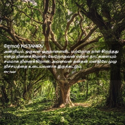 Picture 02 - ரோமர் 14:5 TAMIRV - அன்றியும், ஒருவன் - Bible Verse Picture