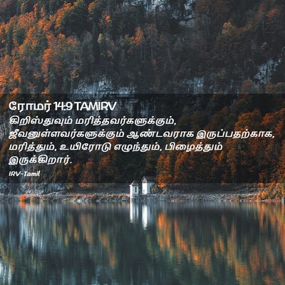 Picture 02 - ரோமர் 14:9 TAMIRV - கிறிஸ்துவும் - Bible Verse Picture