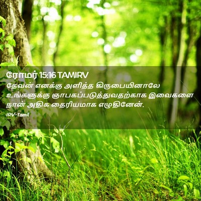 Picture 02 - ரோமர் 15:16 TAMIRV - தேவன் எனக்கு - Bible Verse Picture