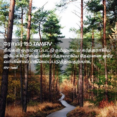 Picture 02 - ரோமர் 15:5 TAMIRV - நீங்கள் - Bible Verse Picture