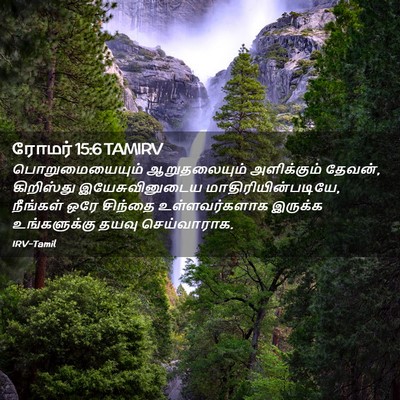 Picture 02 - ரோமர் 15:6 TAMIRV - பொறுமையையும் - Bible Verse Picture