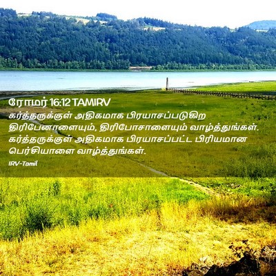 Picture 02 - ரோமர் 16:12 TAMIRV - கர்த்தருக்குள் - Bible Verse Picture