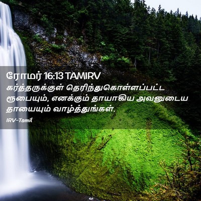 Picture 02 - ரோமர் 16:13 TAMIRV - கர்த்தருக்குள் - Bible Verse Picture