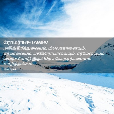 Picture 02 - ரோமர் 16:14 TAMIRV -  - Bible Verse Picture