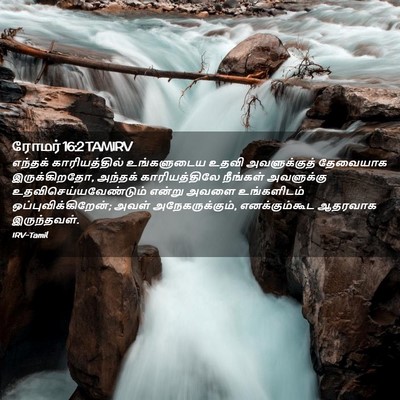 Picture 02 - ரோமர் 16:2 TAMIRV - எந்தக் - Bible Verse Picture