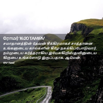 Picture 02 - ரோமர் 16:20 TAMIRV - சமாதானத்தின் - Bible Verse Picture