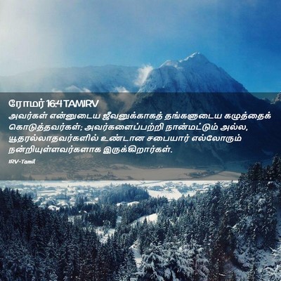 Picture 02 - ரோமர் 16:4 TAMIRV - அவர்கள் என்னுடைய - Bible Verse Picture